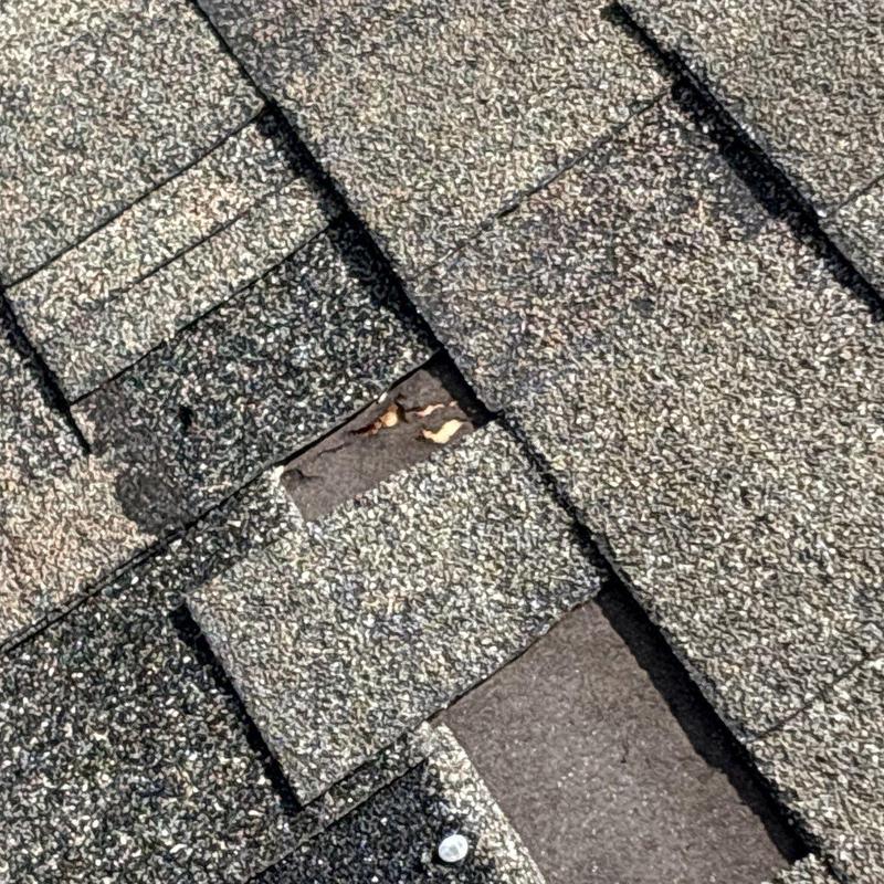 Roof shingles with visible hail damage and missing granules
