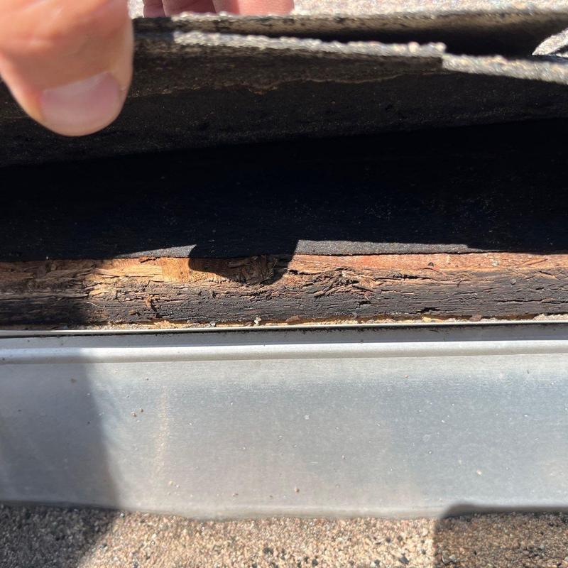 Roof decking with shingle layer lifted showing wood damage