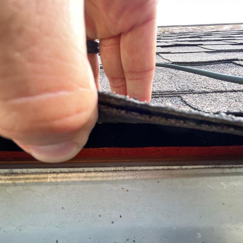 Asphalt shingle roof lifting to inspect underlayment