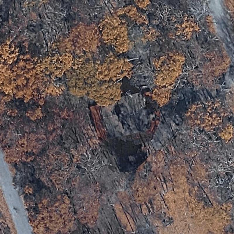 Roof structure fire damage in wooded area clearance Roof structure fire damage in wooded area clearance