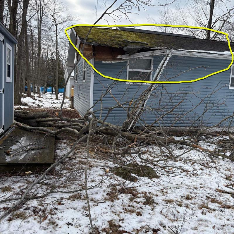 Roof damaged by fallen tree branches outdoors Roof damaged by fallen tree branches outdoors