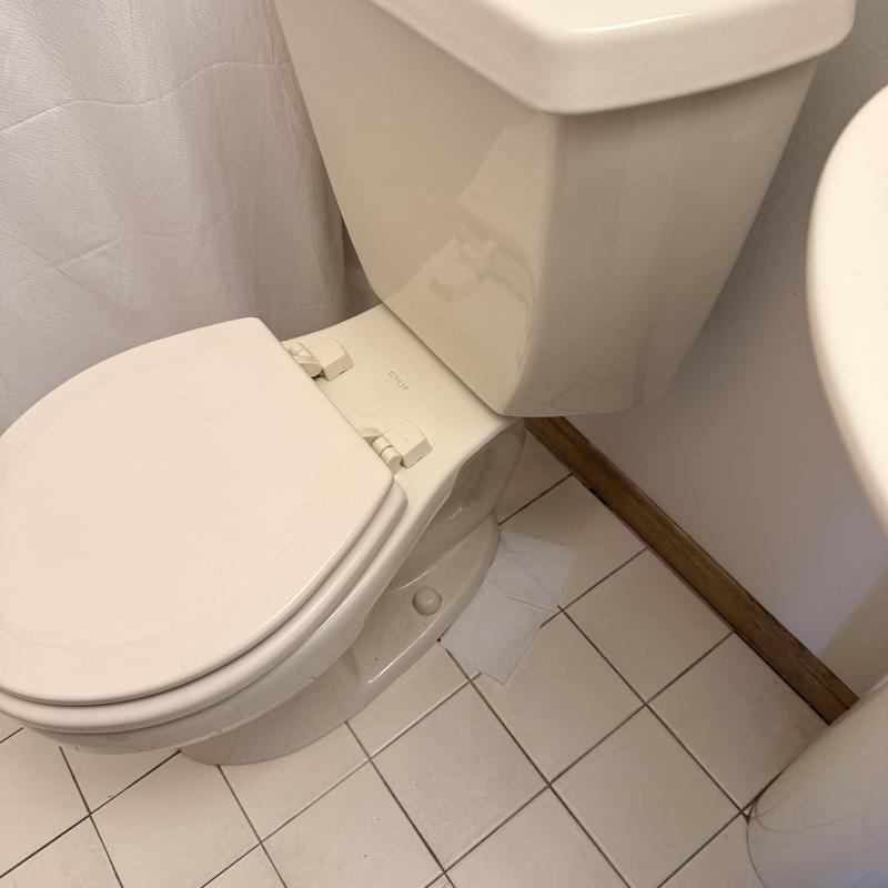 Toilet and floor tile in small bathroom corner