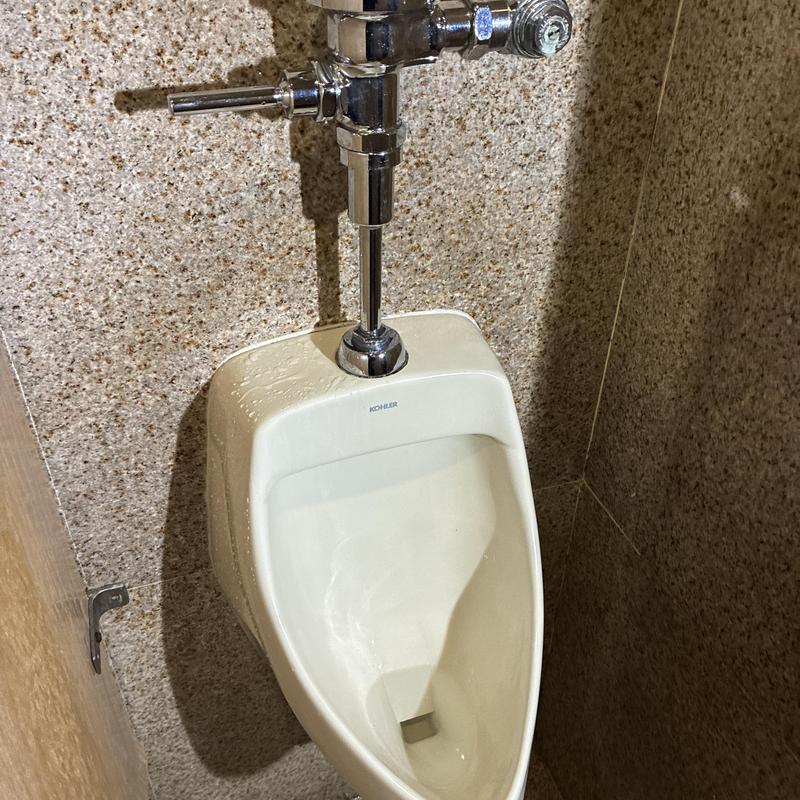 Sloan flushometer valve handle on commercial urinal Sloan flushometer valve handle on commercial urinal