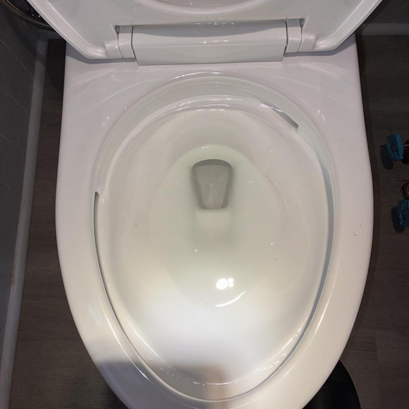 Toto Drake elongated toilet installation in residence Toto Drake elongated toilet installation in residence