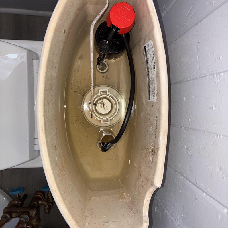 Toilet tank interior with flush valve assembly Toilet tank interior with flush valve assembly