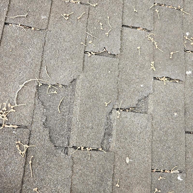 Asphalt roof shingles with visible hail damage