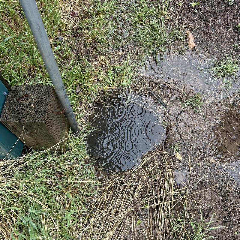 Yard hydrant leaking, water pooling on grass and soil