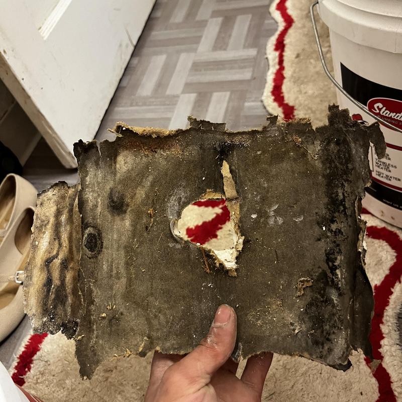 Damaged moldy drywall section with cut hole