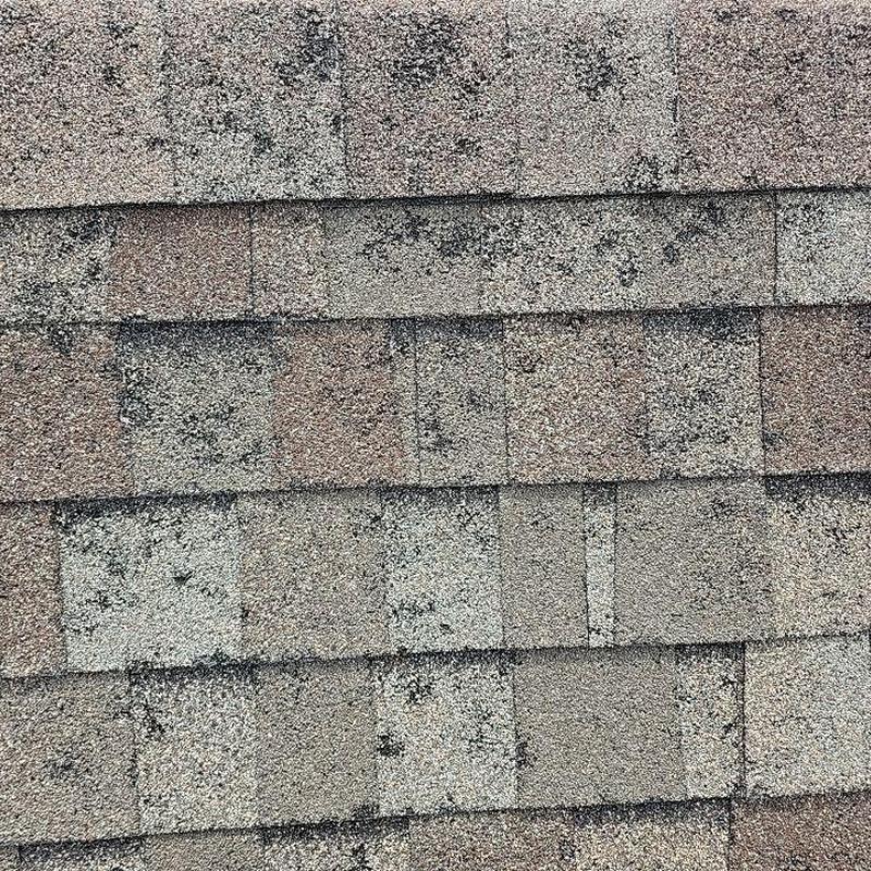Asphalt shingle roof with visible hail damage spots