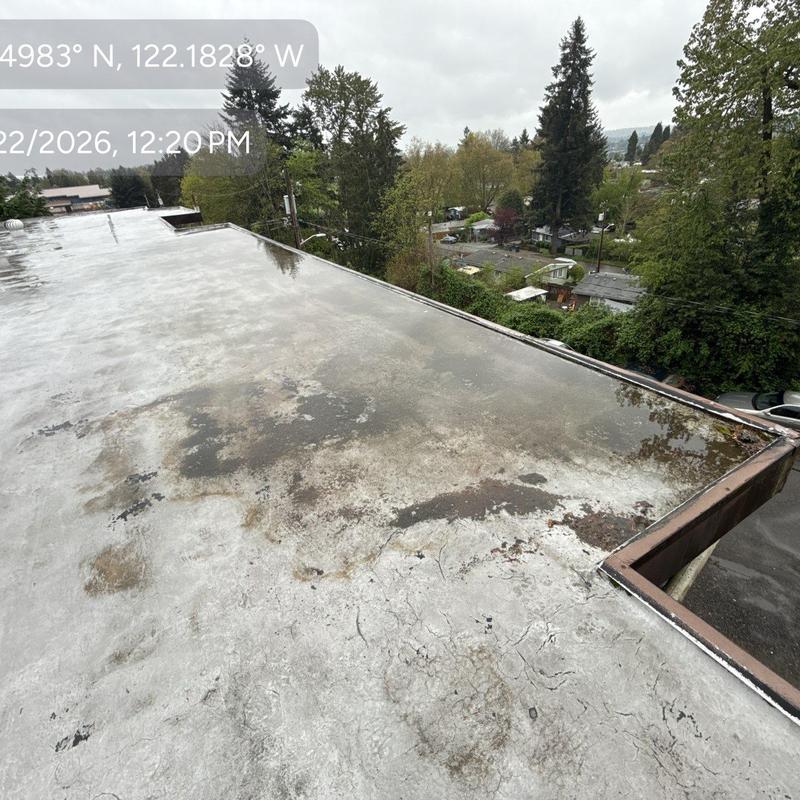 Flat roof surface with water pooling and wear