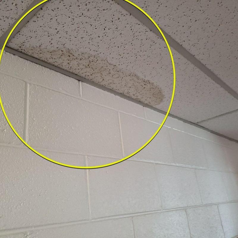 Ceiling tile with water damage and mold stain