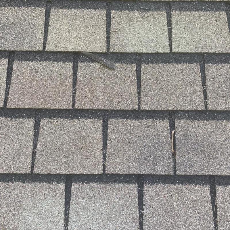 Designer asphalt shingles with minor wear and debris