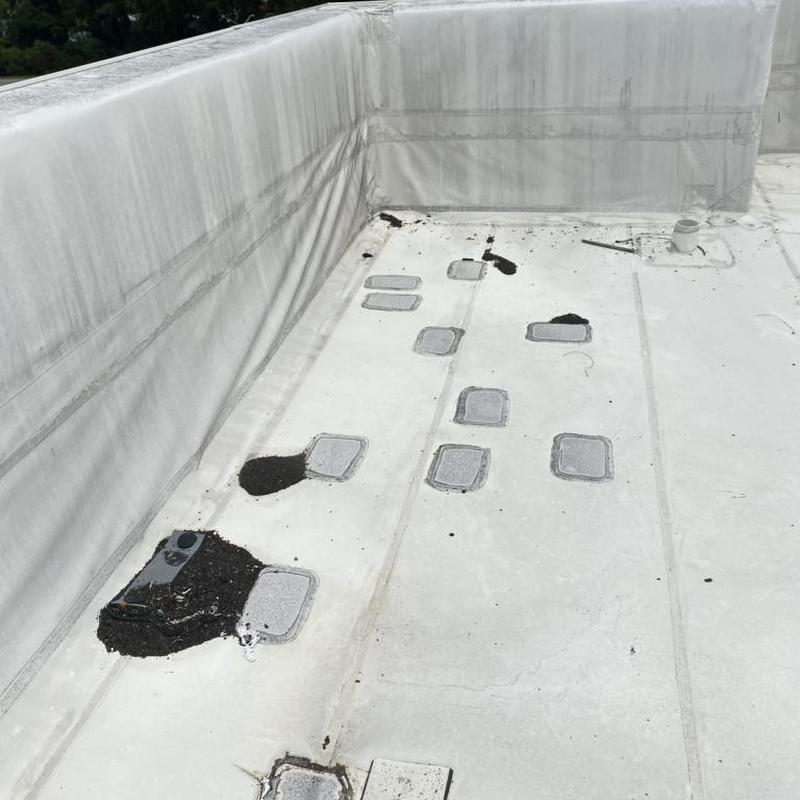 Commercial TPO roof patches and membrane inspection