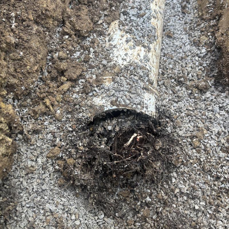 Sewer line clogged with roots and damaged pipe
