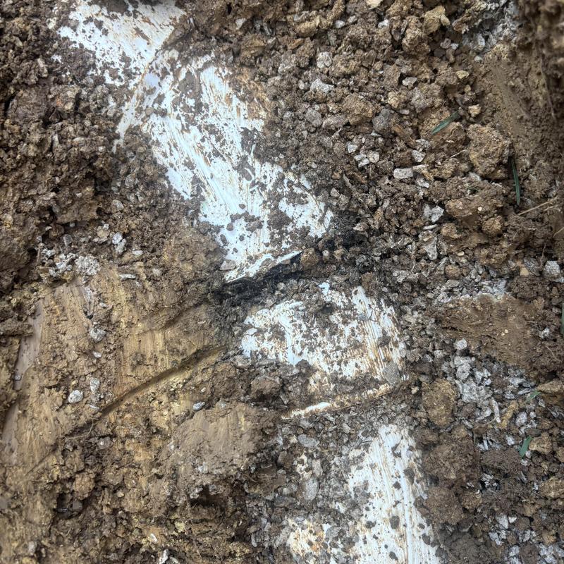 Sewer line exposed and clogged by roots underground