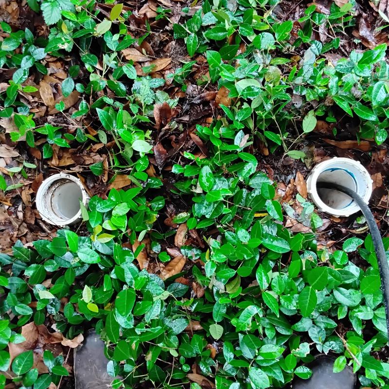 Sewer cleanout pipes with camera inspection in greenery