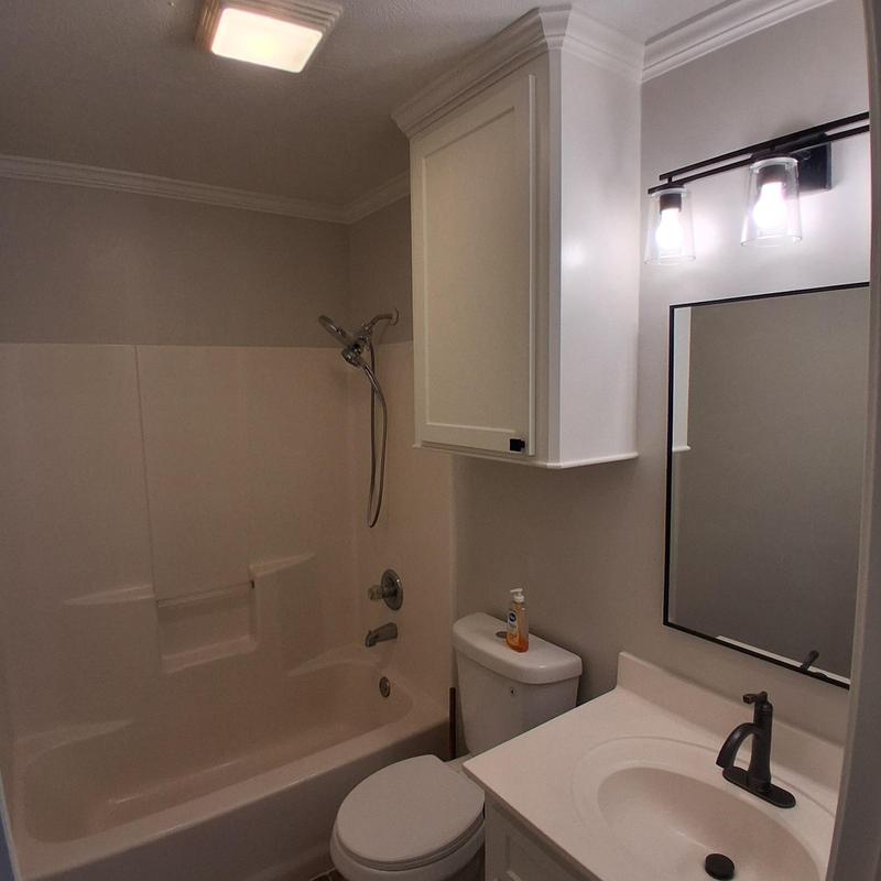 Bathtub and shower with white storage cabinet