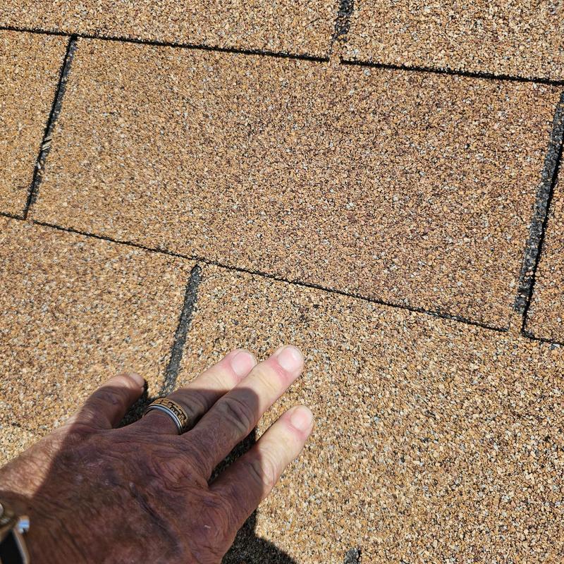 Asphalt shingles with visible hail damage and hand for scale