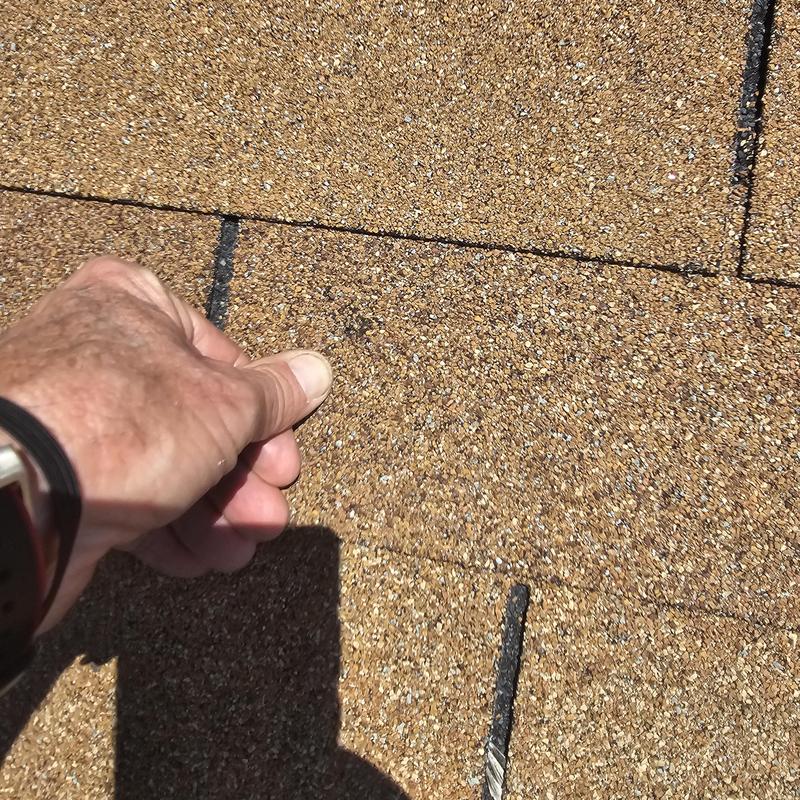 Asphalt shingles showing hail damage with hand for scale