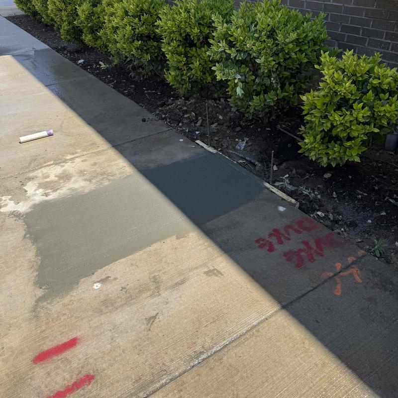 Concrete sidewalk patching beside landscaping shrubs