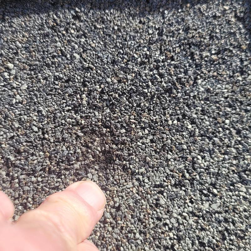 Asphalt shingle with hail impact close-up and finger pointing