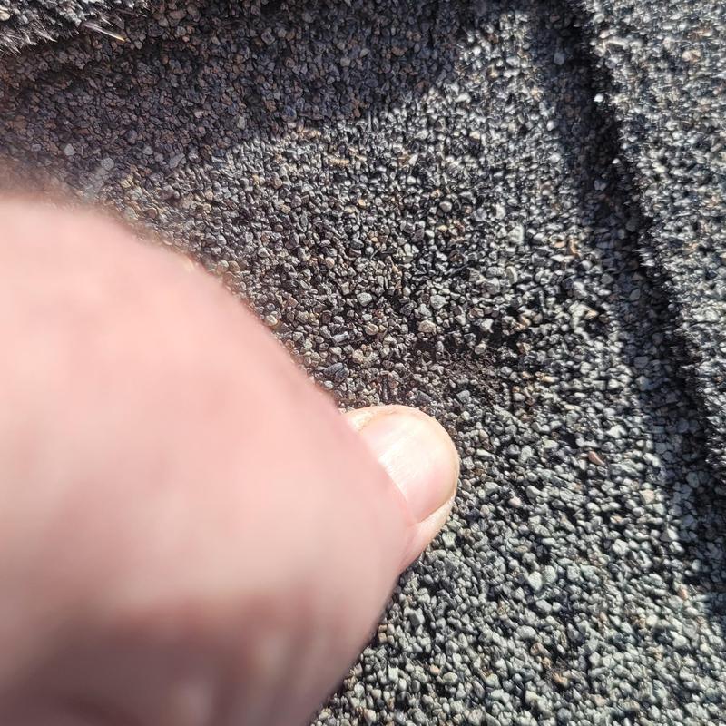 Asphalt shingle granules showing hail damage close-up