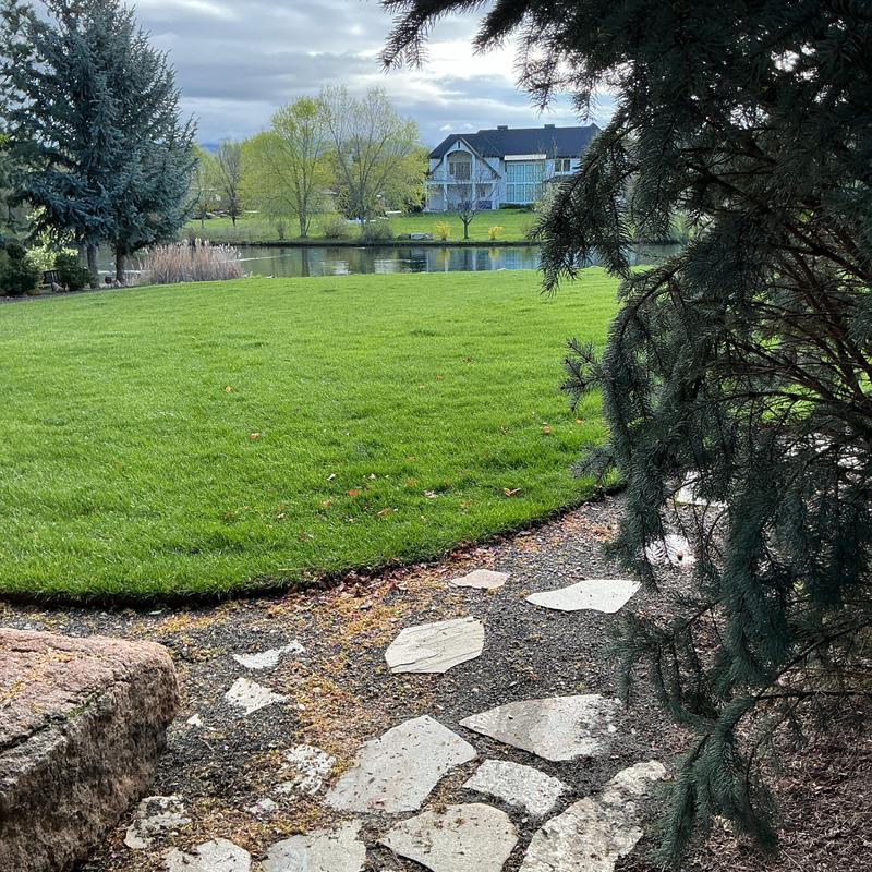 Sewer line jetting and camera inspection near pond