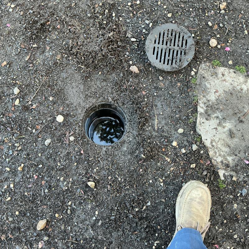 Sewer cleanout with open access and root debris nearby