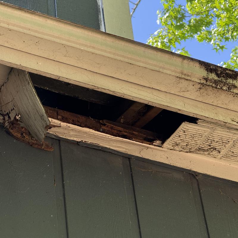 Soffit damage with wood rot near roof flashing