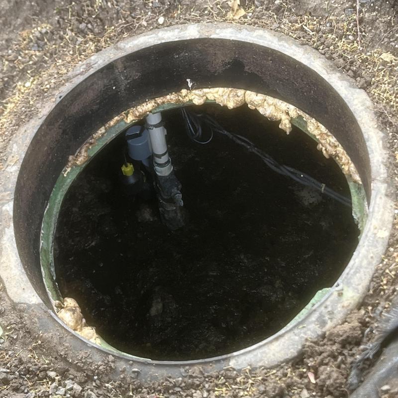 Food ejector float system inside septic tank access hole