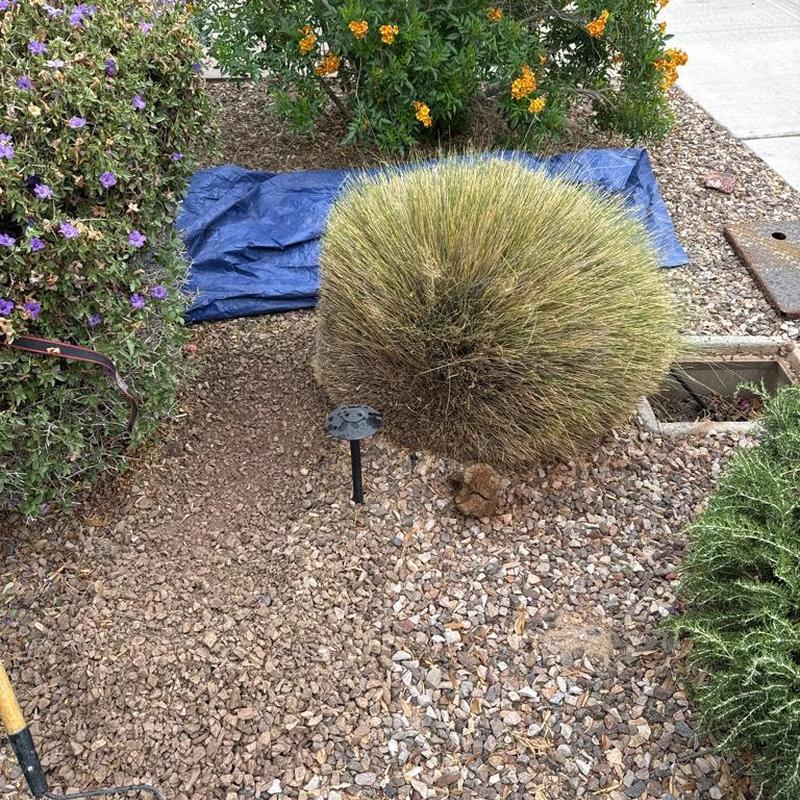 Water main excavation with PRV and irrigation box installation