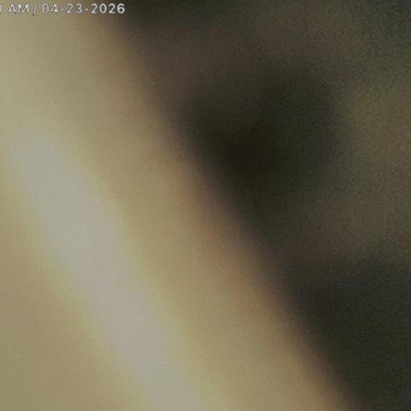 Sewer line interior view from camera inspection