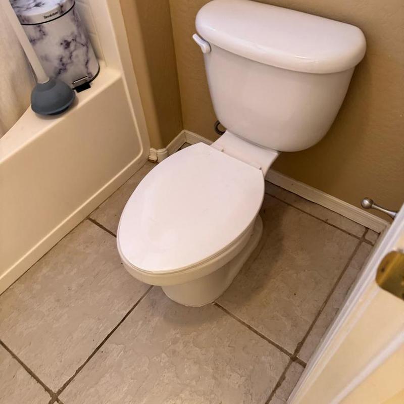 Toilet flange replacement and seal in Queen Creek bathroom