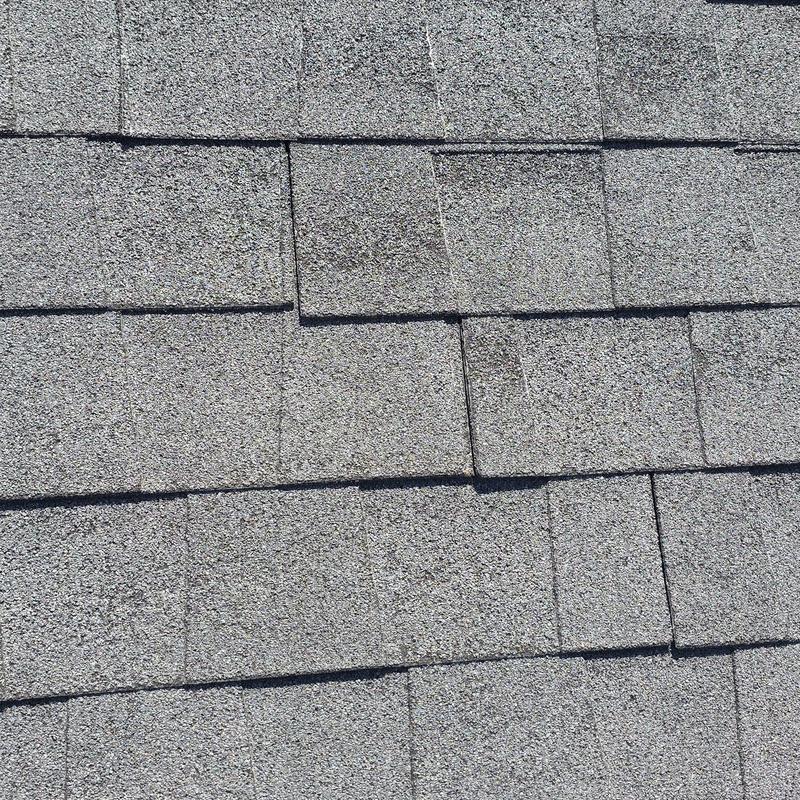 Asphalt roof shingles with hail damage marks