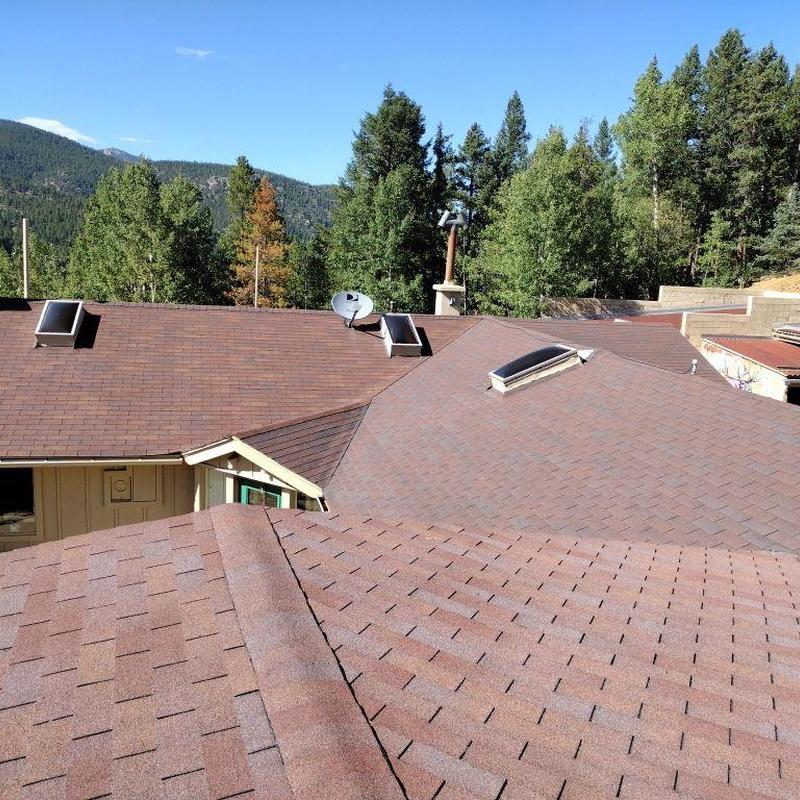 Shingle roof with skylights and satellite dish in forested area Shingle roof with skylights and satellite dish in forested area