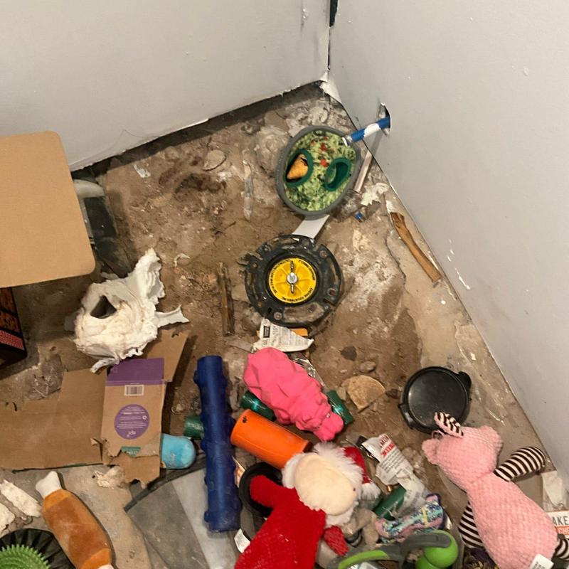 Unfinished basement bathroom open drain caps with toys