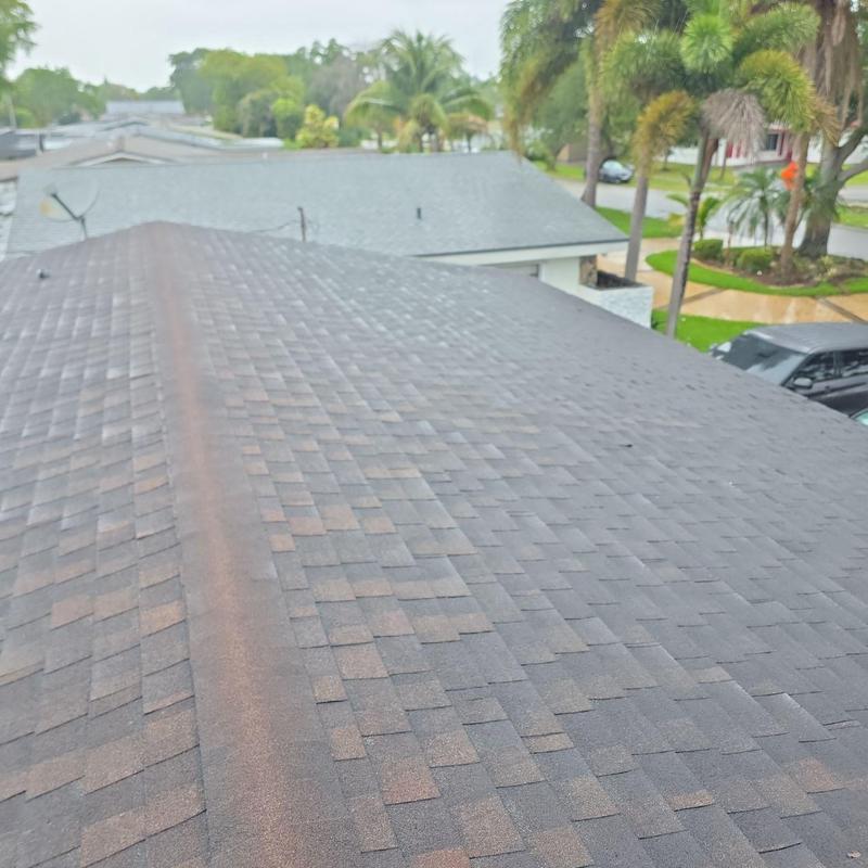 Asphalt shingle roof showing wear and discoloration