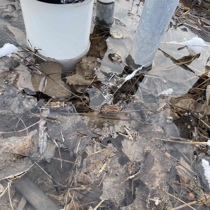 Irrigation valve with water pooled in snow around pipes