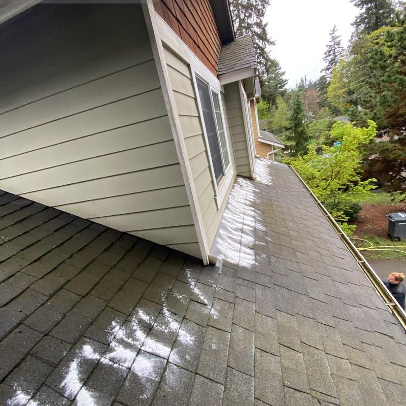 Asphalt shingle roof with moss treatment and cleaning