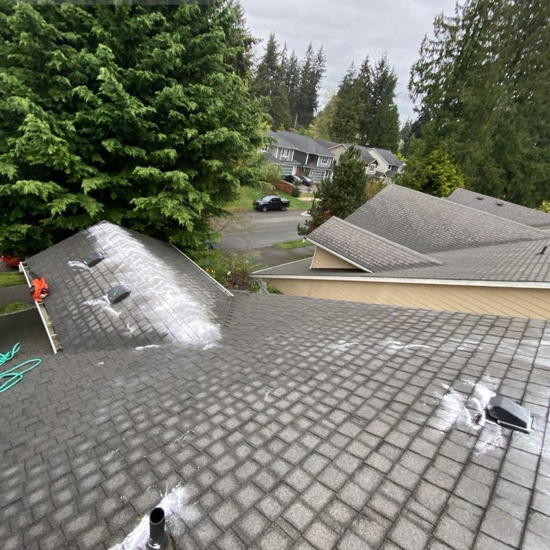 Asphalt shingle roof moss treatment and cleaning in Arlington, WA