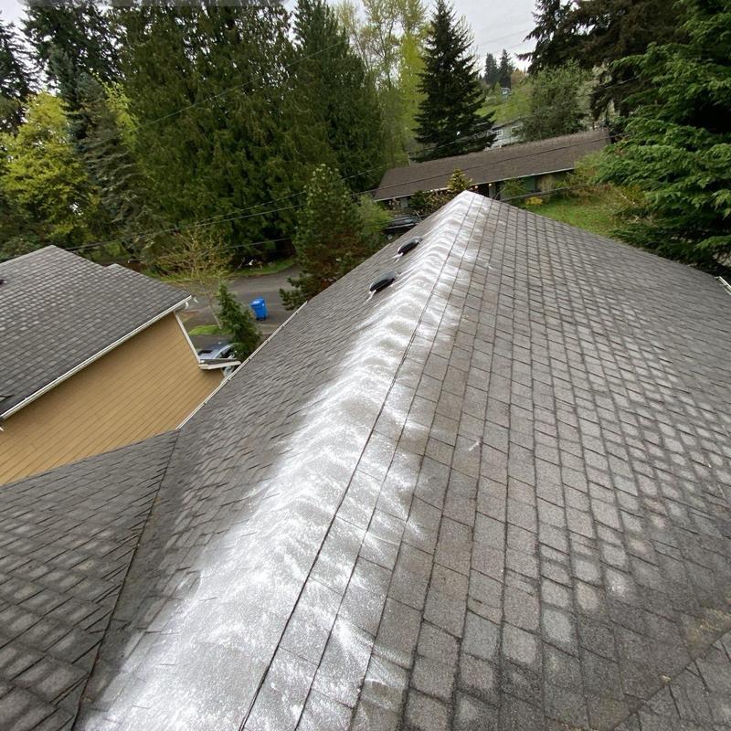 Asphalt shingle roof with moss treatment and cleaning