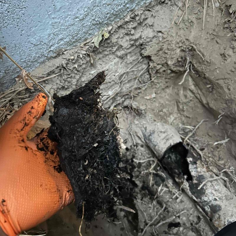 Cast iron sewer pipe with root clog removal in progress