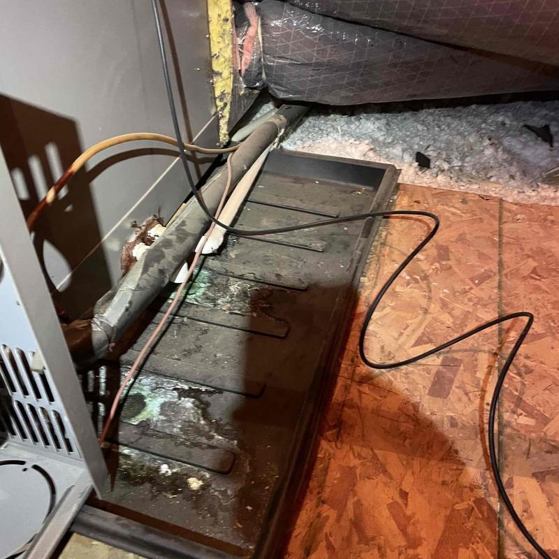 Furnace drip pan with corrosion and connected wiring