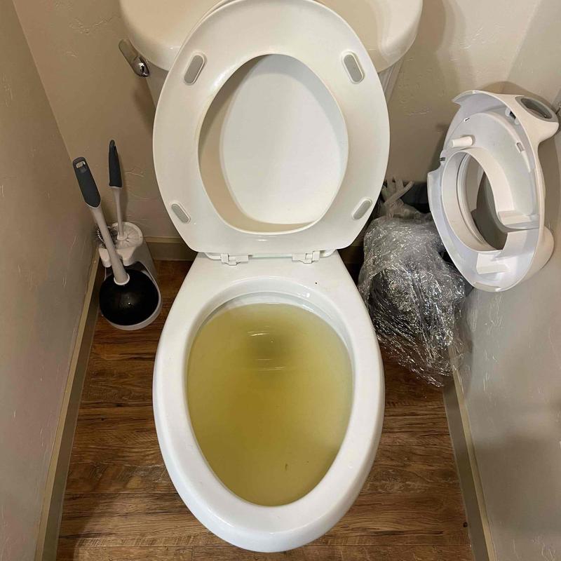 Toilet bowl with cloudy water and open lid indoors