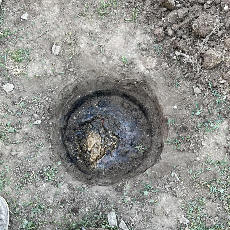 Septic tank with thick crust layer visible in soil hole