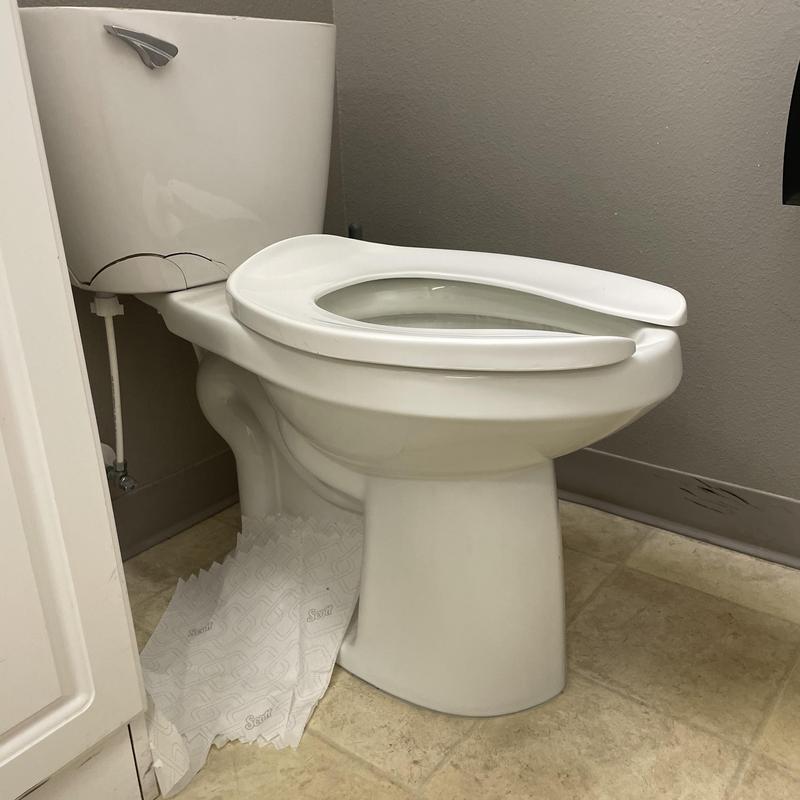 Toilet tank with severe crack and broken bowl seat
