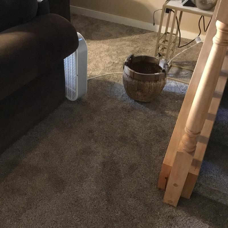 Hose bib leak causing carpet water damage