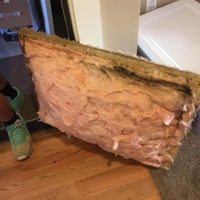 Wall insulation with water damage and mold growth