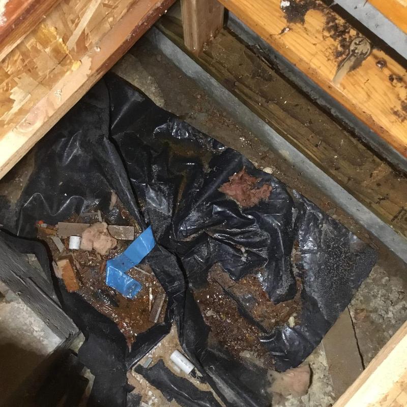 Frozen hose bib water leak in crawl space on vapor barrier