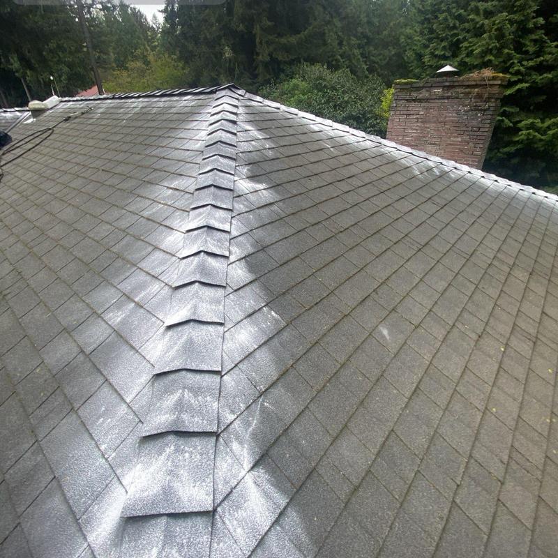 Roof shingles with moss treatment and cleaning effects